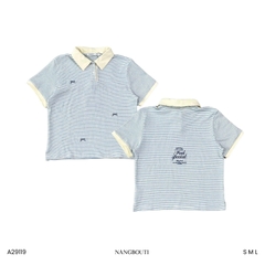 A29119 - A PL sọc phối thêu Fell