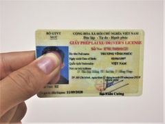 Bằng Lái Ô Tô B1.1