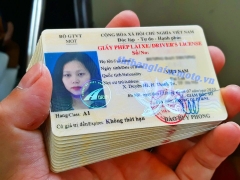 Bằng Xe Máy A1