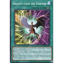 [ Bài Yugioh Chính Hãng ] INFO-AE057 Dragon's Light and Darkness - Common