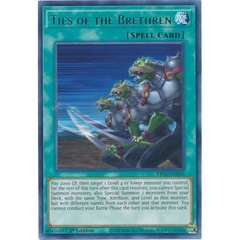 [ Bài Yugioh Chính Hãng ] Ties of the Brethren - KICO-EN053 - Rare 1st Edition