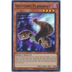 [ Bài Yugioh Chính Hãng ] Splitting Planarian - ROTA-EN100 - Super Rare 1st Edition