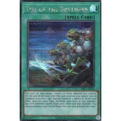 [ Bài Yugioh Chính Hãng ] ES01-AE056 Ties of the Brethren