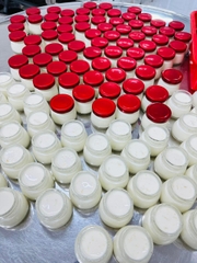 Sữa Chua Tổ Yến 5Gr
