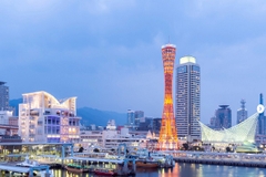 [2024] MÙA HOA ANH ĐÀO NHẬT BẢN 6N5Đ VNA OSAKA–KOBE–KYOTO–NÚI PHÚ SỸ–TOKYO