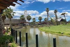 [2024] ĐẮM SAY SẮC THU VÀNG NƯỚC ÚC 7N6Đ VNA SYDNEY – MELBOURNE