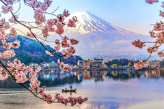[2024] NHẬT BẢN MÙA HOA ANH ĐÀO 6N5Đ NH TOKYO-FUJI.MT-NAGOYA-KYOTO-OSAKA
