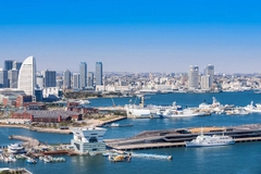 [2024] MÙA HOA ANH ĐÀO NHẬT BẢN 5N4Đ NH TOKYO-NÚI PHÚ SĨ-YOKOHAMA-ODAIBA