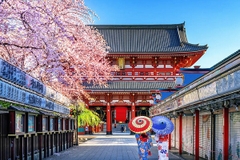 [2024] MÙA HOA ANH ĐÀO NHẬT BẢN 5N4Đ NH TOKYO-NÚI PHÚ SĨ-YOKOHAMA-ODAIBA