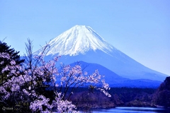 [2024] NHẬT BẢN MÙA HOA ANH ĐÀO 6N5Đ VNA NAGOYA–NARA-OSAKA–KYOTO–NÚI PHÚ SỸ–TOKYO