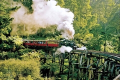 [2024 DU LỊCH ÚC SYDNEY – CANBERRA – MELBOURNE 7N6Đ VNA