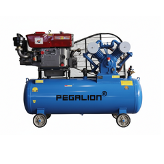Máy Nén Khí Dây Đai Pegalion 10HP 500L TM-V-1.05/12.5-500L