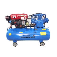 Máy Nén Khí Đầu Nổ Chạy Dầu Pegasus 10HP 330L TM-W-1.0/8-330L