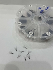 Lông Mi Fan Sẵn fan thường 10D 0.05 0.07 hộp Mix size