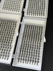 Mi Chùm Cluster Vlash, Wispy, Volume 24D 30D 40D - Hot Trend 2026