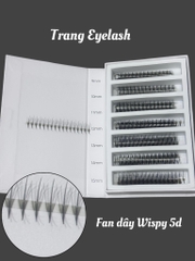 Mi Fan Dây Wiispy Sẵn 5D 7D 9D – Hiệu Ứng Wispy Tự Nhiên, Dễ Thao Tác