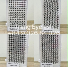 Mi Chùm Cluster Vlash, Wispy, Volume 24D 30D 40D - Hot Trend 2026