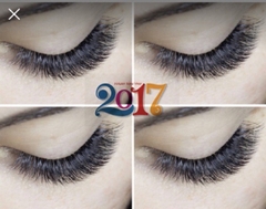 Flash sale-Mi hoa hồng đen / mi hoa sơn trà / mi sole
