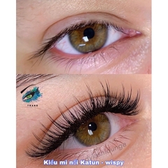 ￼Lông Mi Trụ Katun Cao Cấp - Mi Wispy 5D 7D Độ Cong C D - Mi Fan Sẵn Katun