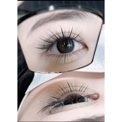 Lông Mi Kim Tuyến Ánh Sao Diamond Starlight Lashes | Glitter Lashes Douyin Anime Manhua Wispy Fairy Lash Extensions