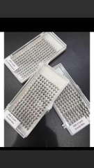 Mi Chùm Cluster Vlash, Wispy, Volume 24D 30D 40D - Hot Trend 2026