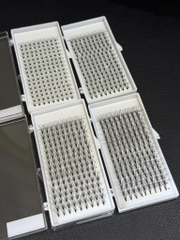 Mi Chùm Cluster Vlash, Wispy, Volume 24D 30D 40D - Hot Trend 2026