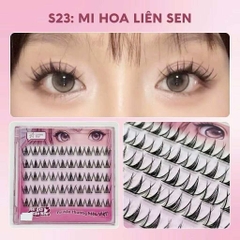 Mi Make Up Có Sẵn Keo và Không Keo