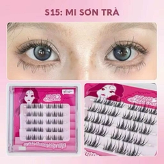 Mi Make Up Có Sẵn Keo và Không Keo