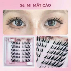 Mi Make Up Có Sẵn Keo và Không Keo