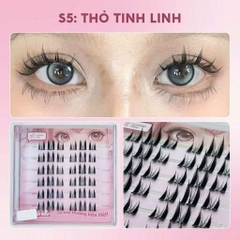 Mi Make Up Có Sẵn Keo và Không Keo