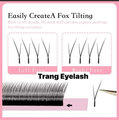 Mi Hoa Nhỏ - Fox Y type eyelash - Mi fisheyes