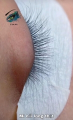 Mi lông thật 100% chất MINK mẫu hộp up size 8 line J B C CC D L LD 8-16mm