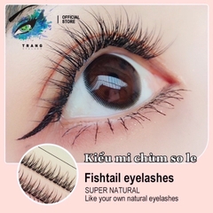 Mi makeup Anine và chùm ngang So Le  (Mi Chữ A (  mi nối thì đổi keo dán make up thành keo nối mi nha mọi người )