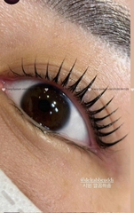 Trục uốn Lash Clinic U-Lyal Rod Clear – Waterdrop U-Curl (5 size - Made in Korea)