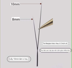 Mi Hoa Nhỏ Sole 2D sole 1 chiều, sole fish eyes 2 chiều trái phải
