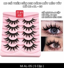 Lông mi Strip Lashes hot trend ( Natural False Eyelashes Cat Eye Lashes Strips Invisible Band Fake Mink Strip Lash Wispy Thin Clear Band Cateye Eye Lash Pack Full Volume Medium Length 8-14)