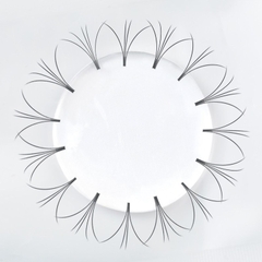 Flash Sale lông mi fan sẵn 5d 0.07 dùng thử ( 200 fan )