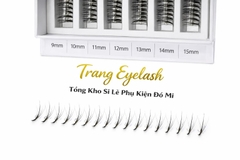 Mi Fan Dây Wiispy Sẵn 5D 7D 9D – Hiệu Ứng Wispy Tự Nhiên, Dễ Thao Tác