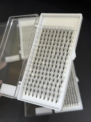 Mi Chùm Cluster Vlash, Wispy, Volume 24D 30D 40D - Hot Trend 2026