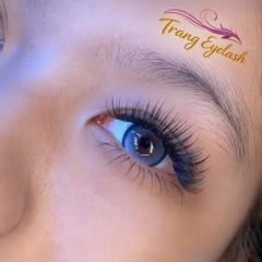 Mi Fan Dây Wiispy Sẵn 5D 7D 9D – Hiệu Ứng Wispy Tự Nhiên, Dễ Thao Tác