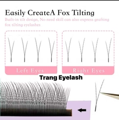 Mi Hoa Nhỏ - Fox Y type eyelash - Mi fisheyes
