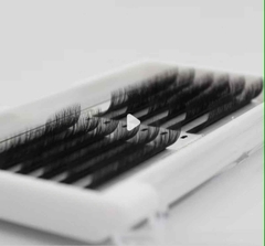 Mi lông thỏ Rabbit Lashes