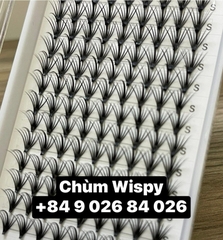 Mi Chùm Cluster Vlash, Wispy, Volume 24D 30D 40D - Hot Trend 2026