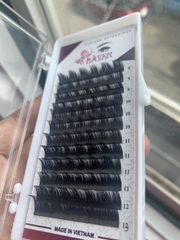 Flash sale-Mi hoa hồng đen / mi hoa sơn trà / mi sole