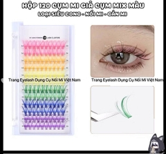 Mi chùm Màu Cluster color 120 Cụm Cong 3D, Mix Màu Hỗ Trợ Trang Điểm, Makeup, Nối Mi