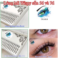 ￼Lông Mi Trụ Katun Cao Cấp - Mi Wispy 5D 7D Độ Cong C D - Mi Fan Sẵn Katun