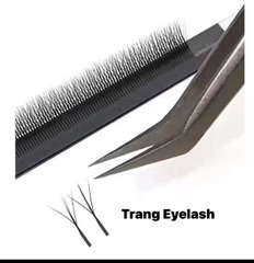 Mi Hoa Nhỏ - Fox Y type eyelash - Mi fisheyes