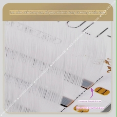 Màu Trắng Lông Mi Camellia Douyin Trung Hoa, mi Manhua, Balayage,Mi Trung Hoa Bạch Tuyết (màu trắng)