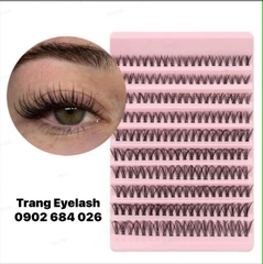 Mi chùm 30d mix 8.10.12.14.16 ( Xs.S.M.L.XL)