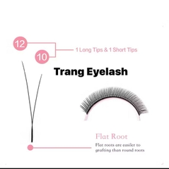 Mi Hoa Nhỏ - Fox Y type eyelash - Mi fisheyes